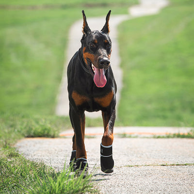 Zapatos Deportivos Impermeables Anti-resbalantes para Mascotas - Image 4