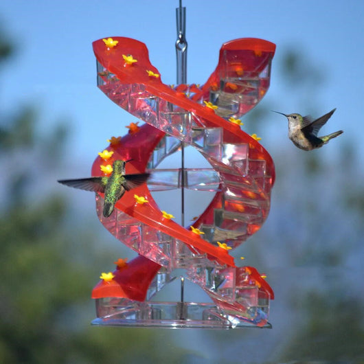 Comedero Espiral para Colibríes con Escalera - Image 8
