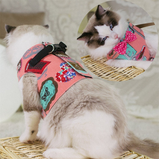 Ropa de Tracción para Gato con Cuerda Dorsal Frontal - Image 13