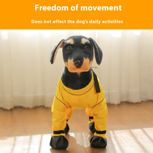 Protectores de Patas Impermeables para Perros - Image 4