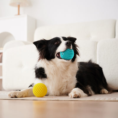 Juguete Masticable Indestructible para Perros Medianos y Grandes - Image 8