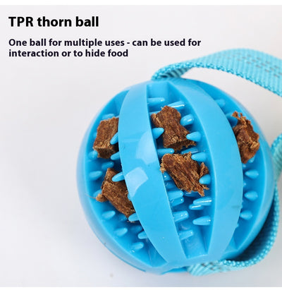 Juguete Interactivo de Cuerda Resistente para Perros - Tirador Masticable - Image 16