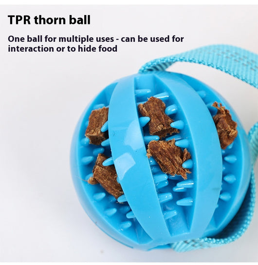 Juguete Interactivo de Cuerda Resistente para Perros - Tirador Masticable - Image 16