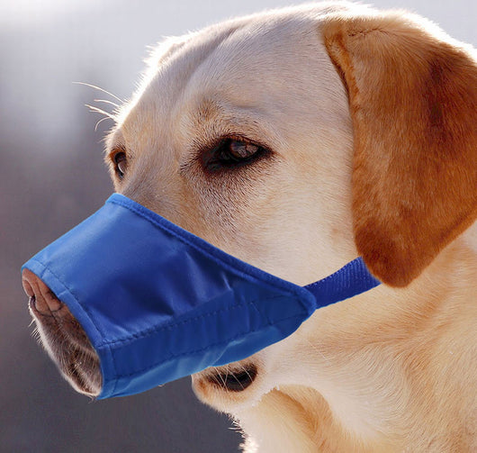 Bozal Antiladridos Impermeable para Perros - Control Suave y Seguro