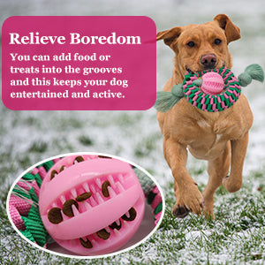Juguete Masticable Interactivo para Perros - Nylon y Caucho Natural - Image 8