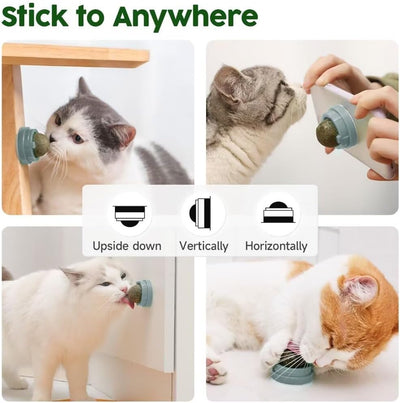Juguetes de Catnip para Gatos - Set 4 Bolas Energéticas con Silvervine y Limpieza Dental - Image 11