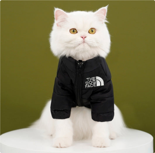 Abrigo Impermeable y Cortavientos para Perros - Ropa de Invierno Acolchada - Image 11