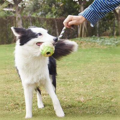 Juguetes de Cuerda con Nudos para Perros - Juego Interactivo de Tracción - Image 6