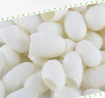 Set de 20 Bolas de Seda Natural para Limpieza Facial - Image 10