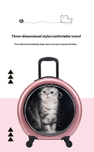 Bolsa Transportadora Transparente Reforzada para Mascotas - Gatos y Perros - Image 20