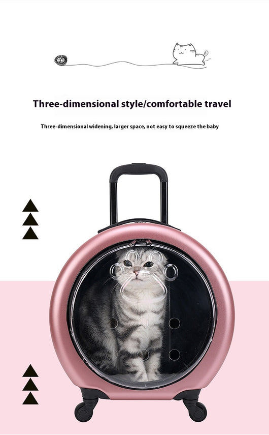 Bolsa Transportadora Transparente Reforzada para Mascotas - Gatos y Perros - Image 20