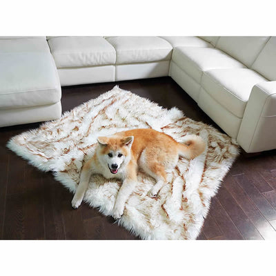 Cama para Perro Impermeable y Lavable - Sofá Cómodo Blanco con Detalles Café - Image 11