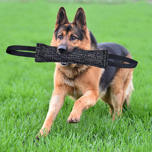 Juguete Masticable para Perros Medianos - Palo de Limpieza Dental Resistente - Image 10