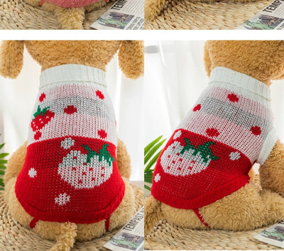 Suéteres Tejidos para Mascotas - Ropa de Otoño e Invierno para Bichón Frisé y Corgi - Image 19