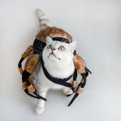 Disfraz de Araña para Mascotas - Traje de Halloween Divertido para Perros y Gatos