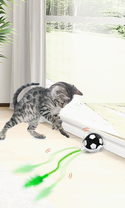 Interactive cat toy with a blue and white soccer ball, a flexible yellow rod with bells, and a blue feather. - Image 8