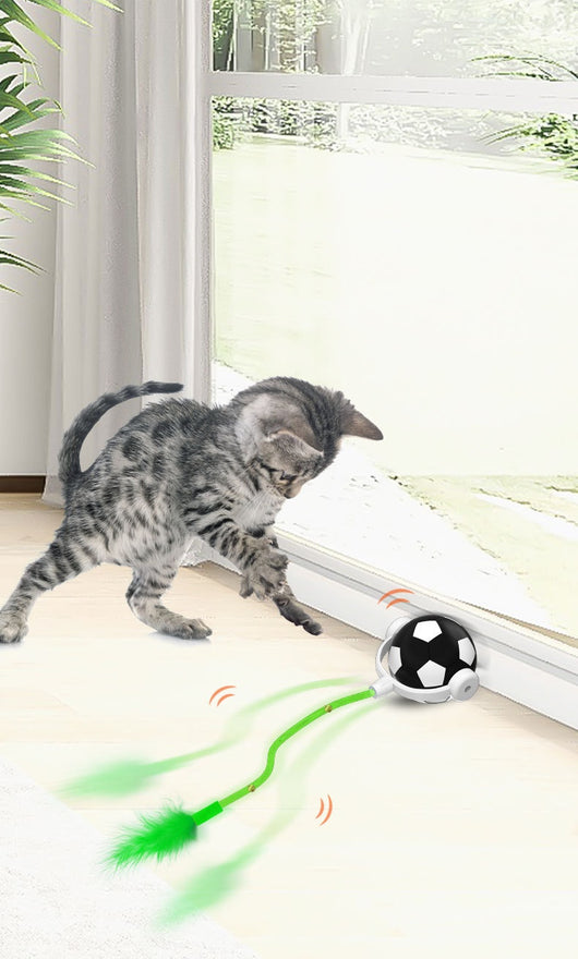 Interactive cat toy with a blue and white soccer ball, a flexible yellow rod with bells, and a blue feather. - Image 8
