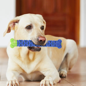Limpiador Dental Masticable para Perros - Juguete Cepillo de Dientes Azul y Verde - Image 12