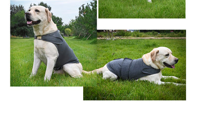 Chaleco Calmante para Perros - Alivia la Ansiedad por Separación - Image 13