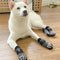 Calcetines Impermeables Cálidos para Perros Medianos - Antideslizantes y Protectores