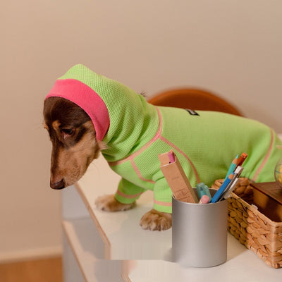 Suéter Tipo Waffle para Perros Salchicha - Abrigo Versátil Todas las Estaciones - Image 4