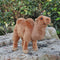 Peluche Camello del Desierto de Dunhuang - Juguete Realista