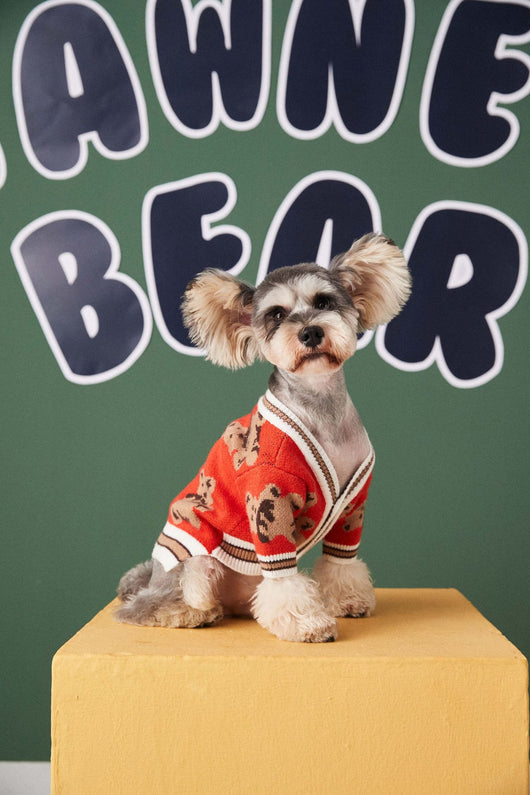 Suéter Preppy a Rayas para Perros y Gatos - Chaleco V-Neck Cálido de Invierno - Image 16