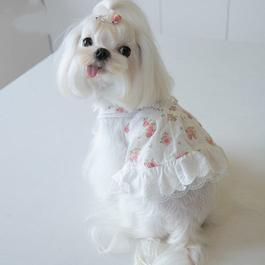 Falda para Perro con Estampado Floral Pueblerino y Encaje - Image 3