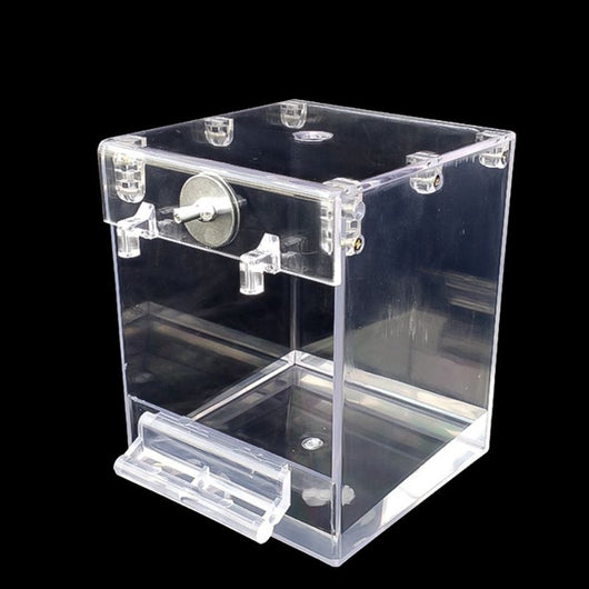 Transparent yellow square bird bath with a front perch and metal attachment for external cage mounting. - Image 4