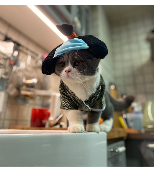 Disfraz de Guerrero Samurái para Perros - Estilo Kimono Japonés - Image 11