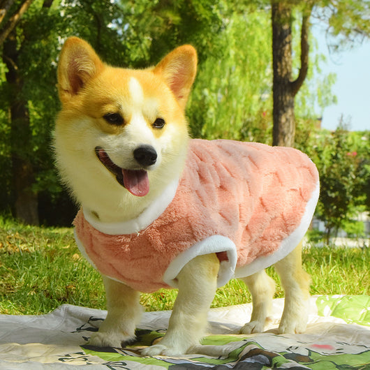 Chaleco Acolchado para Perros Medianos - Protección Térmica Invierno y Otoño - Image 11