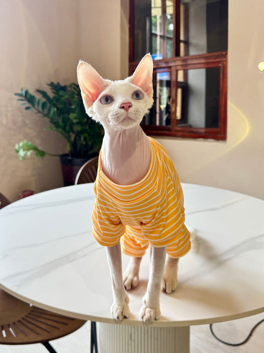 Ropa Transpirable para Gatos - Diseño Ligero y Fresco - Image 11
