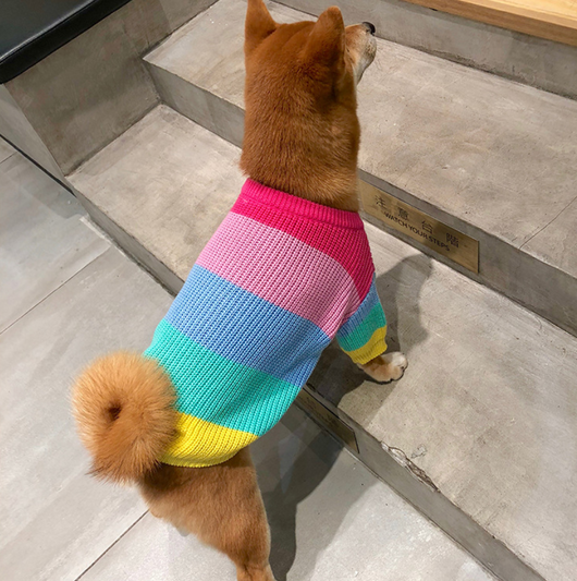 Suéter Arcoíris para Perros Pequeños y Cachorros - Image 17