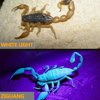 Linterna Frontal Scorpion Strong con Luz Púrpura Ultra Brillante - Image 17