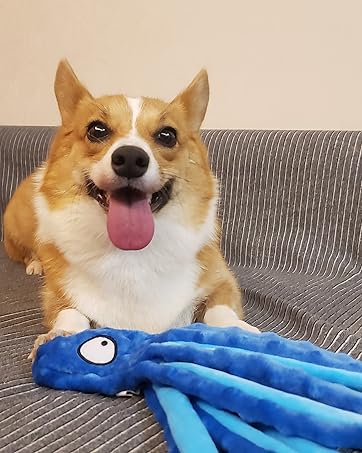 Juguete de Pulpo Chirriante para Perros - Juguete de Goma sin Relleno para Masticación y Dentición - Image 16