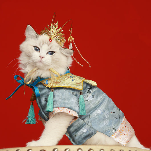 Traje Hanfu Tradicional para Mascotas - Caja de Regalo Exclusiva - Image 11