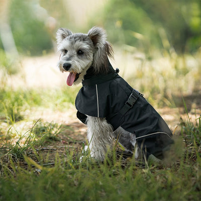 Poncho Impermeable Universal para Perros Pequeños y Medianos - Image 4