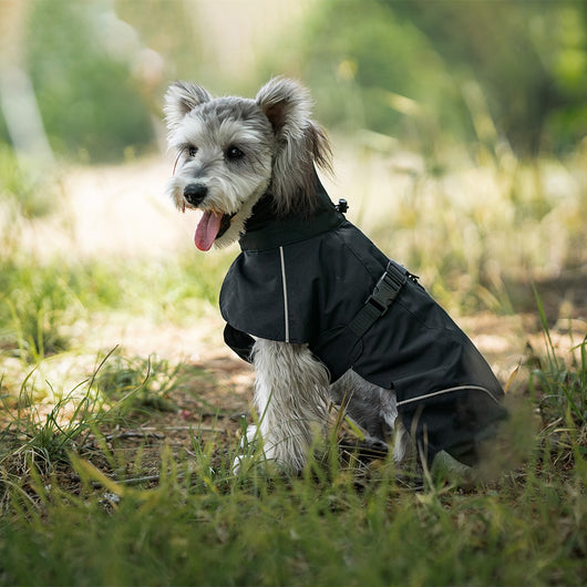 Poncho Impermeable Universal para Perros Pequeños y Medianos - Image 4