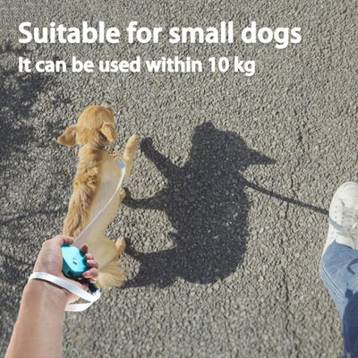 Correa Retráctil Automática para Perros Pequeños - Cinta Plana de Nylon - Image 19