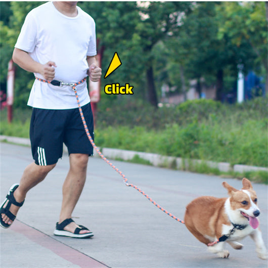 Correa Cruzada Multifuncional para Perros con Arnés de Tracción - Image 16