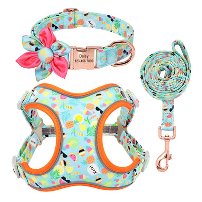 Correa y Collar para Perros Pequeños - Diseño Teddy Corgi - Image 13