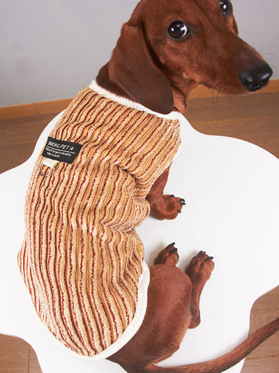 Sudadera Hoodie a Rayas para Perros Miniatura Yorkshire y Bichon - Image 6