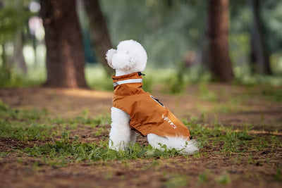 Poncho Impermeable Reflectante para Perros - Protección Total en Lluvia y Viento - Image 27