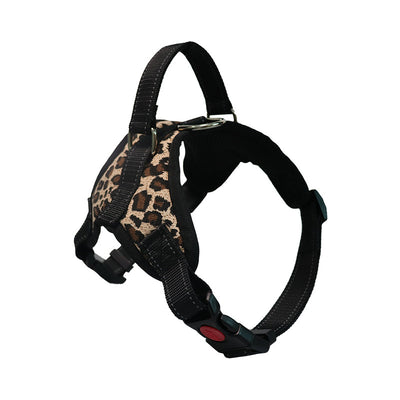 Productos Premium de Aseo para Perros Raza Satsuma - Image 15
