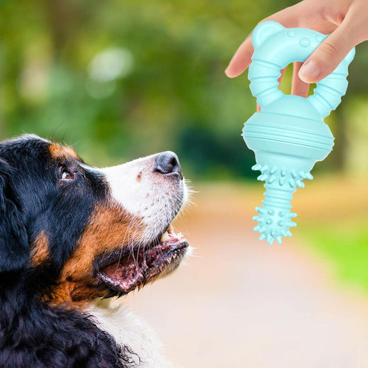 Juguete Masticable de Goma para Limpiar Dientes - Mordedor Resistente para Perros Grandes - Image 18