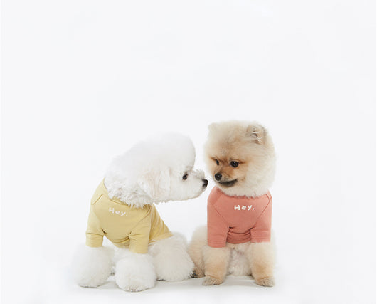 Playera Estampada Casual para Mascotas - Image 10