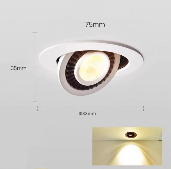 Lámpara LED Empotrada Elefante Redonda para Techo - Iluminación Moderna Sala y Pasillo