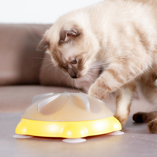 Plato Interactivo para Gatos con Almacenamiento de Snacks y Entretenimiento - Image 5