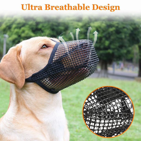 Protector Bucal Fashionable para Perros
