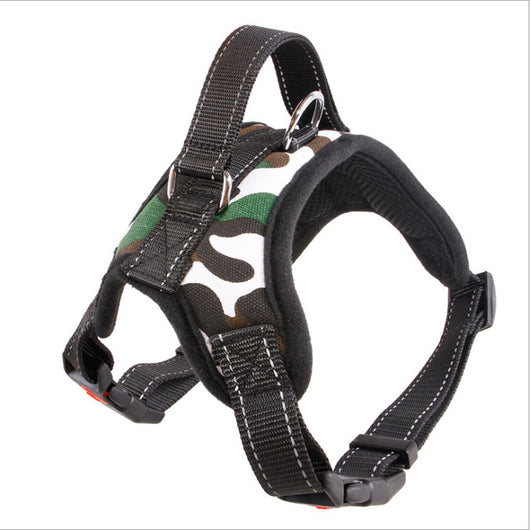 Productos Premium de Aseo para Perros Raza Satsuma - Image 17